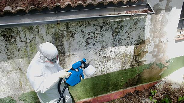 Trusted Mold Testing service in Pacific, WA - Cheap Mold Removal